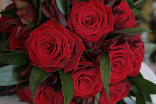 Red Bouquet photos