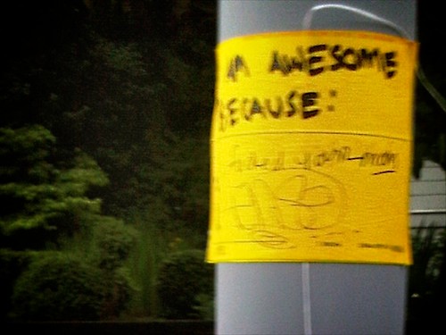 2010.05.30 - why are you awesome?
