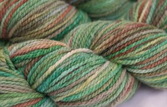 Songs of Forest Creatures on Cestari  Fine Merino Wool - 4 oz. (...a time to dye)