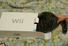 Wii猫の握り方
