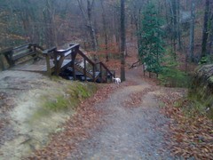  Clark Creek Trail Staircase