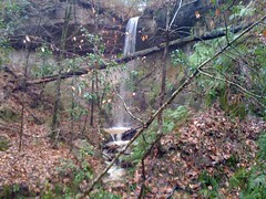  3rd Falls on Primitive Trail