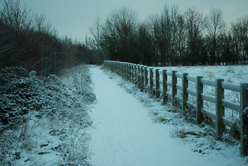 DSC_3880-snowy-path
