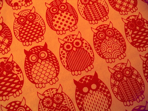 Owl Parliament - cherry on tangerine