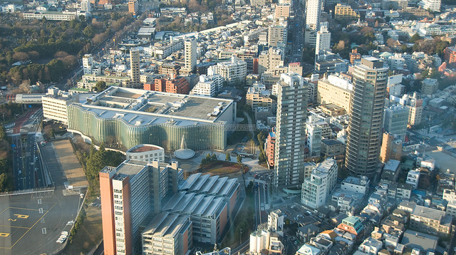 Tokyo 9 Jan 2010 by hto2008