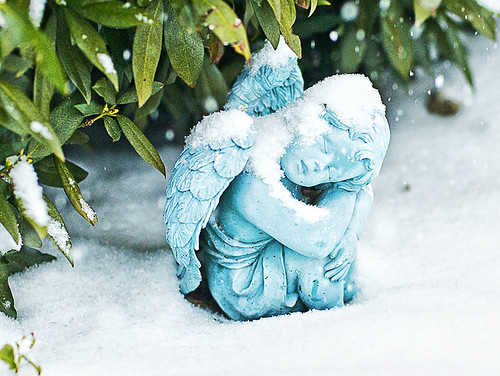 Snowy Angel