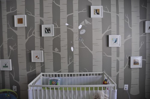 birch tree wallpaper. Birch Tree Wallpaper. A irch tree nursery–with a; A irch tree nursery–with a