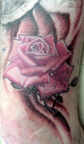 pink rose tattoo pictures. Pink Rose Tattoo