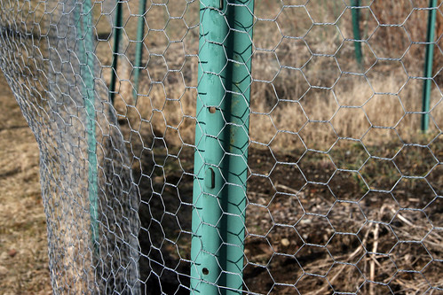 garden fence 020