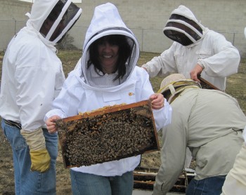 beekeeping 043 (350 x 278)