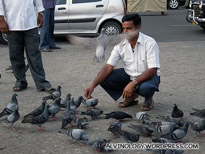A man feeding pigeons