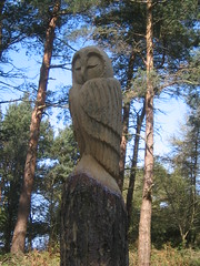 Errington Woods Owl Carving