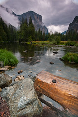 Rock and Wood, Merced River