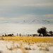 Foggy Winter Day in the Kittitas Valley