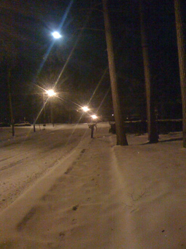 The street in front of my house. The top light is the moon.