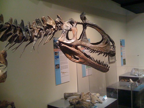 "Elvisaurus" or Cryolophosaurus