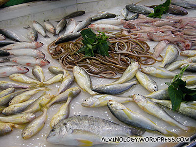 Assortment of fish