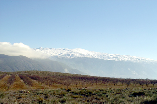 Sierra-Nevada