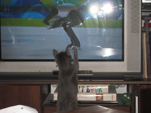 Gauge watching the Olympics