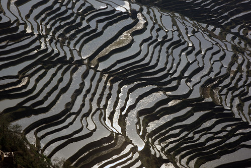 フリー写真素材|自然・風景|田畑・農場|中華人民共和国|棚田|