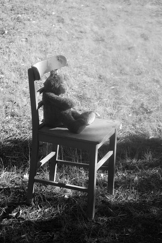 Teddy Bear Chair