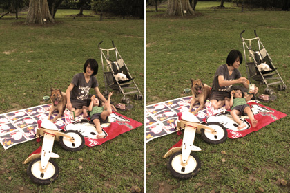 sunday picnic