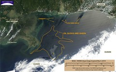 Deepwater Horizon Oil Spill - MODIS/Aqua Detai...