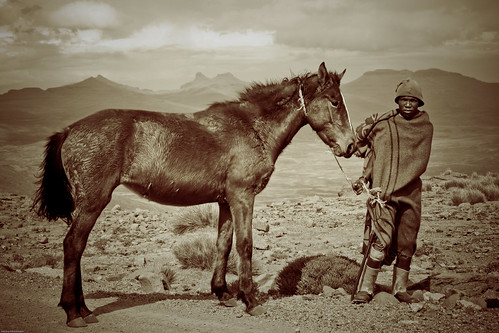 Lesotho Cowboy
