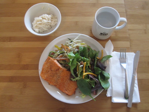 Salmon, veggie medley, salad, rice pudding from the bsitro - $6