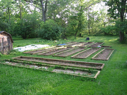 completed raised beds