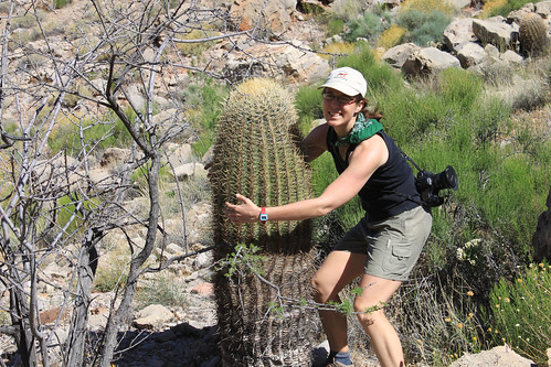Hey, Francie! You should hug that cactus!
