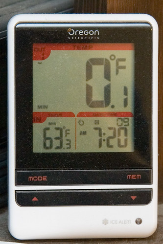 Temperature This Morning