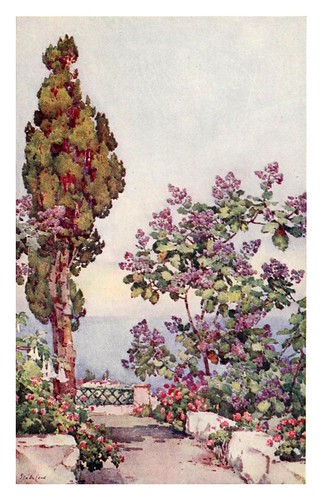 038-Un jardin en La Gomera-The Canary Islands (1911) -Ella Du Cane
