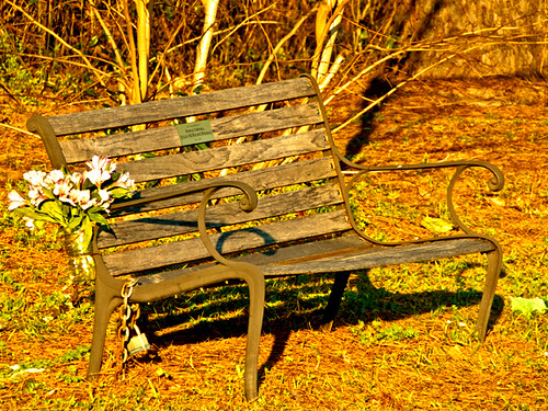 Flowers and padlock? That's one kinky bench!