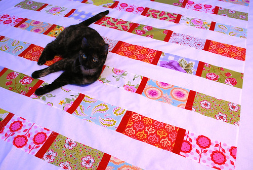 quilt top done!