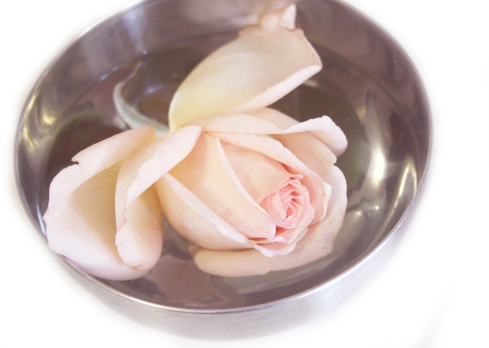 rose in a bowl
