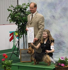Ellie and Beckham 4th place Terrier Group