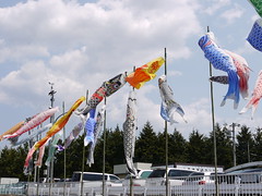 鯉のぼり祭り