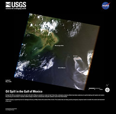 Gulf of Mexico Oil Spill - Landsat 5