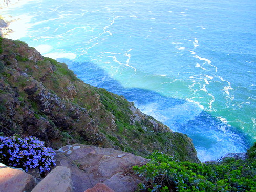 South Africa. Cape Peninsula, Atlantic coast