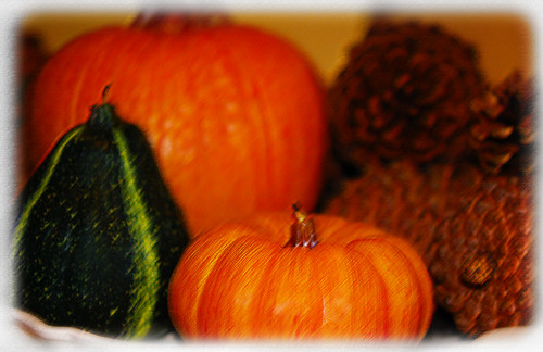 Pumpkins and Cones