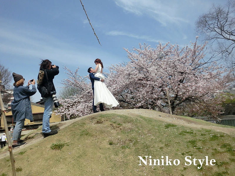 日本,海外,自助,婚紗,京都,櫻花,花圈