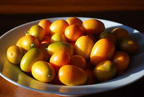 candied kumquats 2
