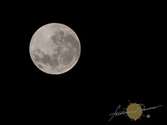 Blue Moon 2009/2010 12:22am