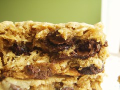 35 - quaker oats oatmeal chocolate chip cookie