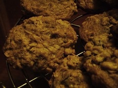 19 - quaker oats oatmeal raisin cookie