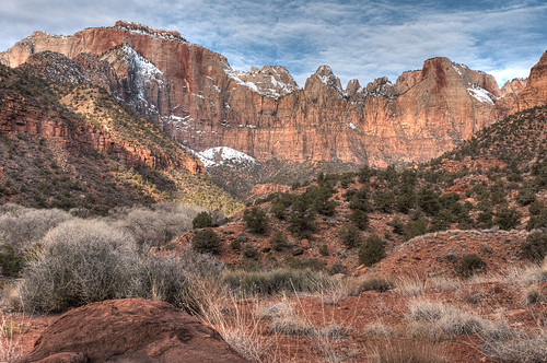Morning, Zion National Park