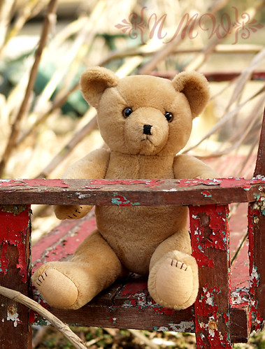 Ted on bench