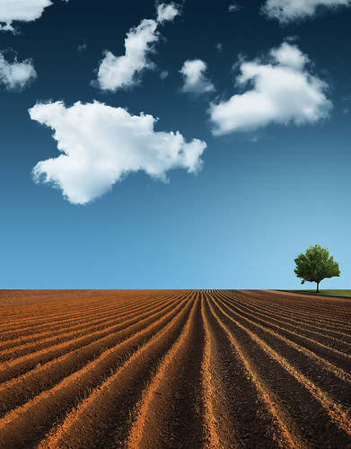 The Earth, The Sky And A Tree (by .: Philipp Klinger :.)