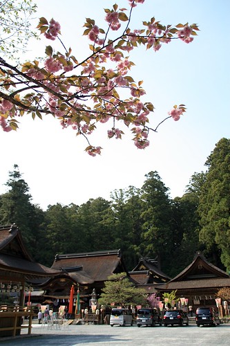 小国神社-Oguni Shinto Shrine